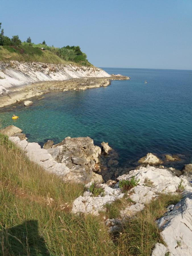 Apartman Dea Crveni Vrh Exterior photo