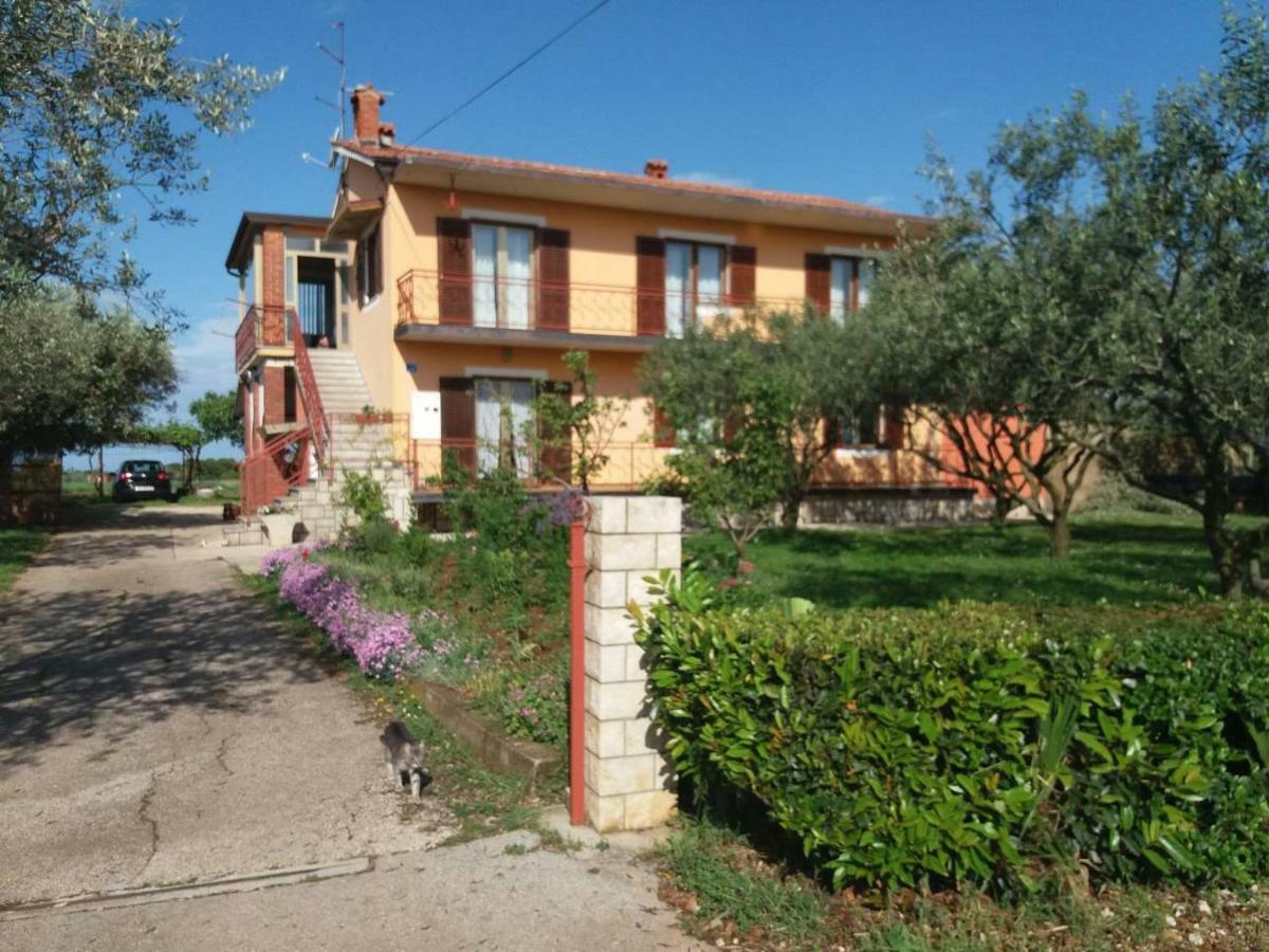Apartman Dea Crveni Vrh Exterior photo