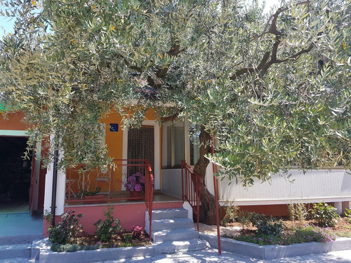 Apartman Dea Crveni Vrh Exterior photo